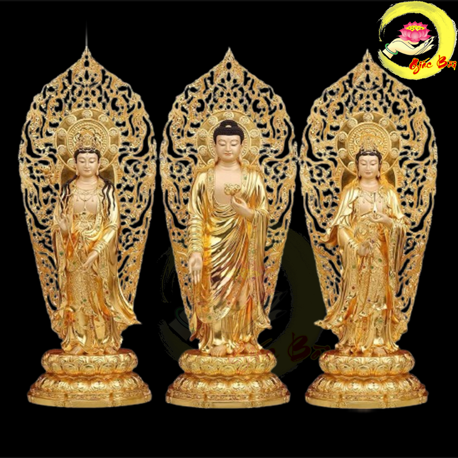 Danh mục Sản Phẩm Mới